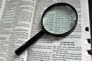 深入解析，如何使用Go語言高效搭建網(wǎng)站，Go語言高效構(gòu)建網(wǎng)站全攻略揭秘