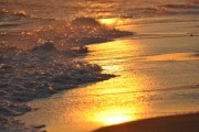 夢(mèng)中的魚塘，繁星點(diǎn)點(diǎn)的生命之海，夢(mèng)中之魚塘，繁星點(diǎn)點(diǎn)的生命之海