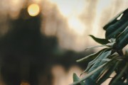 漫漫的ACG之路，尋找和熱愛(ài)的那份樂(lè)趣，ACG之路上，探索與熱愛(ài)的樂(lè)趣