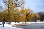 夢(mèng)到雪的寓意與解讀，夢(mèng)到雪的寓意與象征解讀