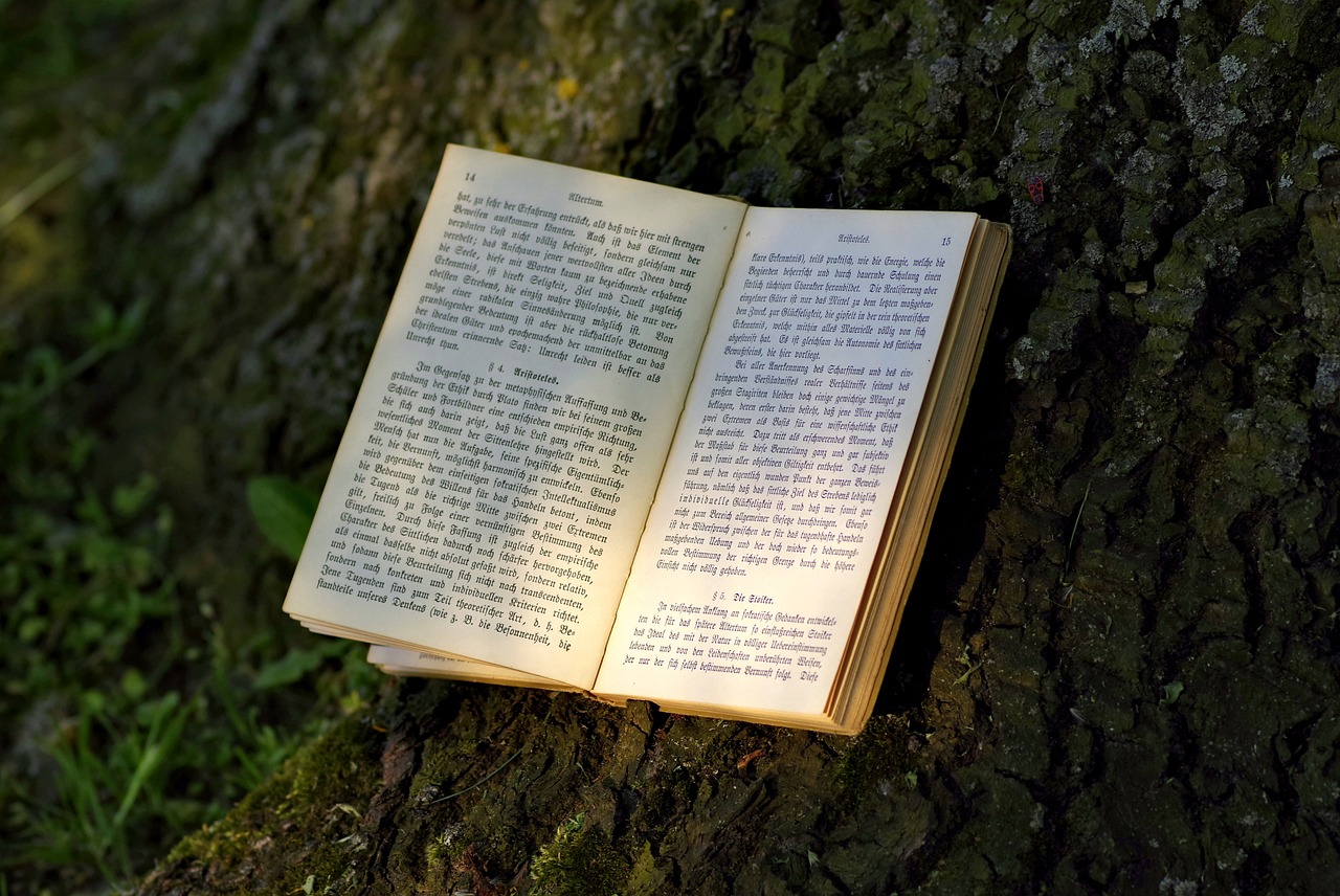 夢到書，一場心靈與知識的奇妙旅程