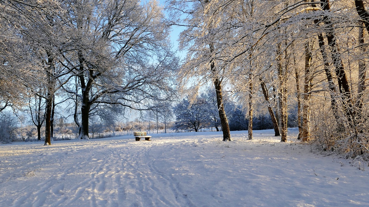 冰雪奇緣游戲——讓你置身于一個全新的冰雪世界！