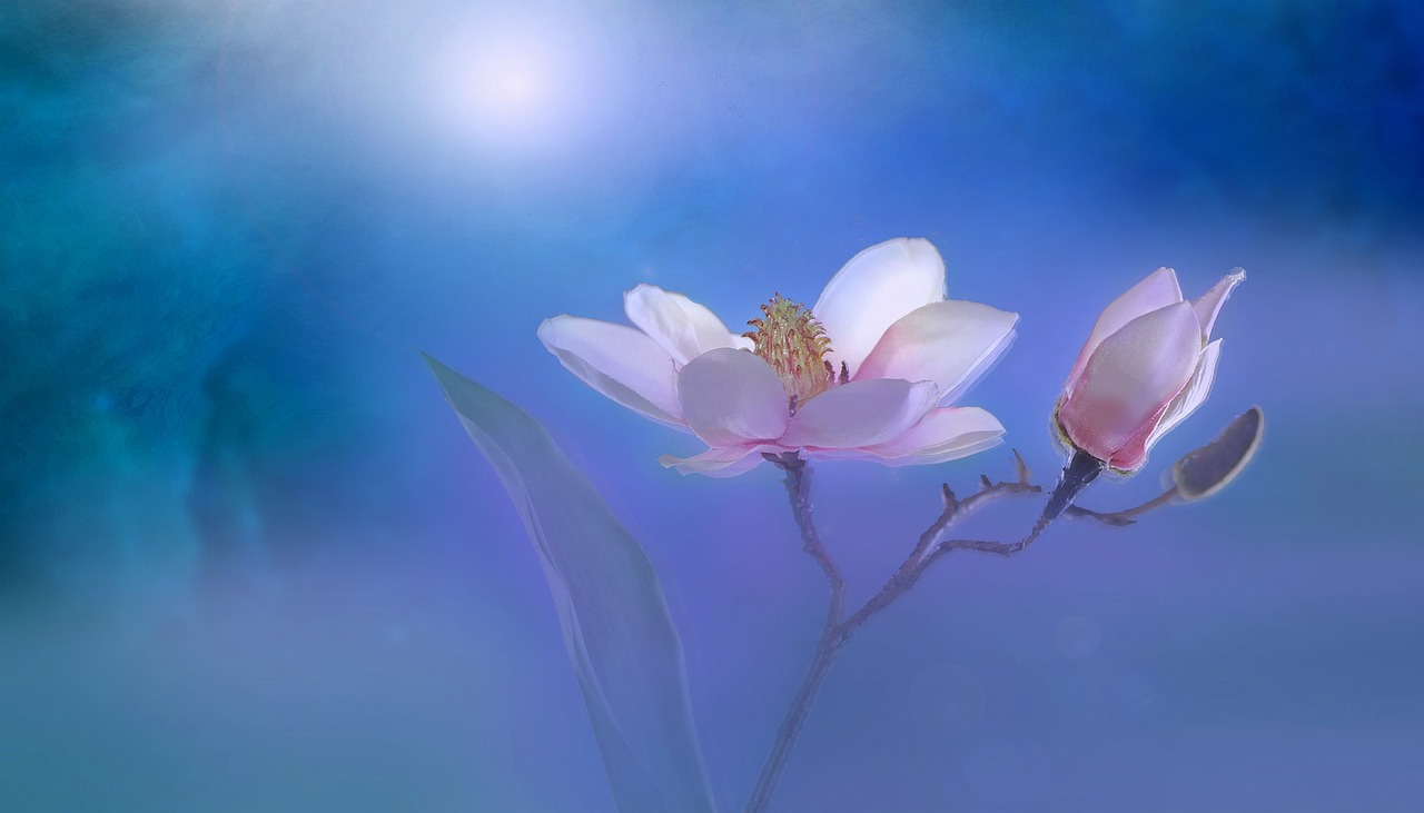 夢(mèng)境中的月經(jīng)之謎，一次心靈與生理的交織體驗(yàn)