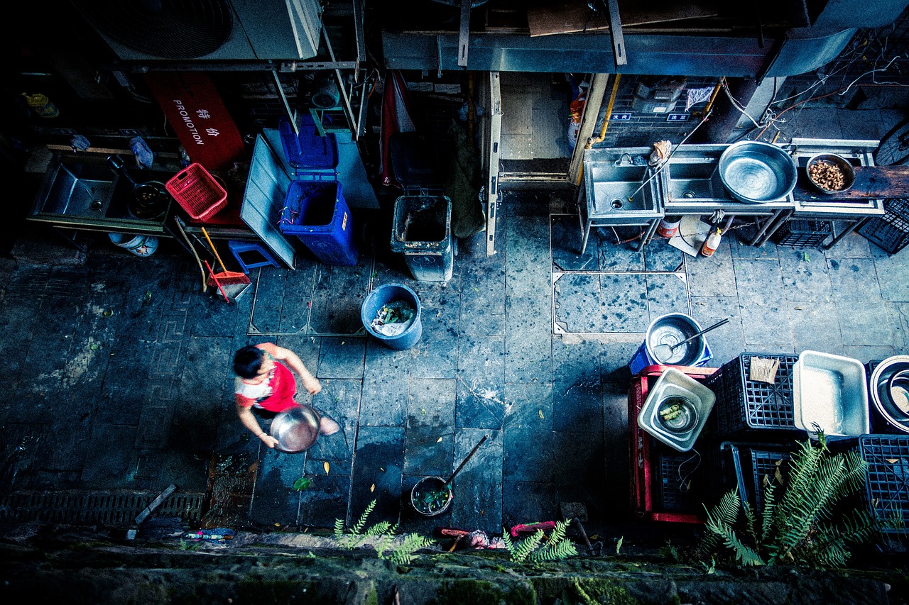 夢(mèng)中的毒蜘蛛，一場(chǎng)驚悚的夢(mèng)境之旅