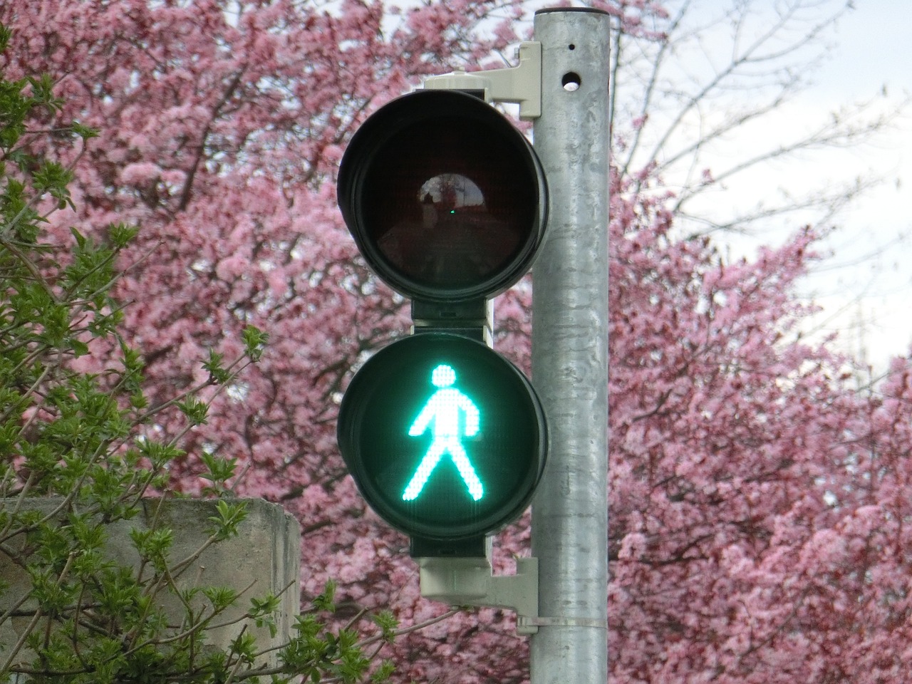 新車輪胎發(fā)黃的原因是什么？如何預(yù)防和處理這一問題？
