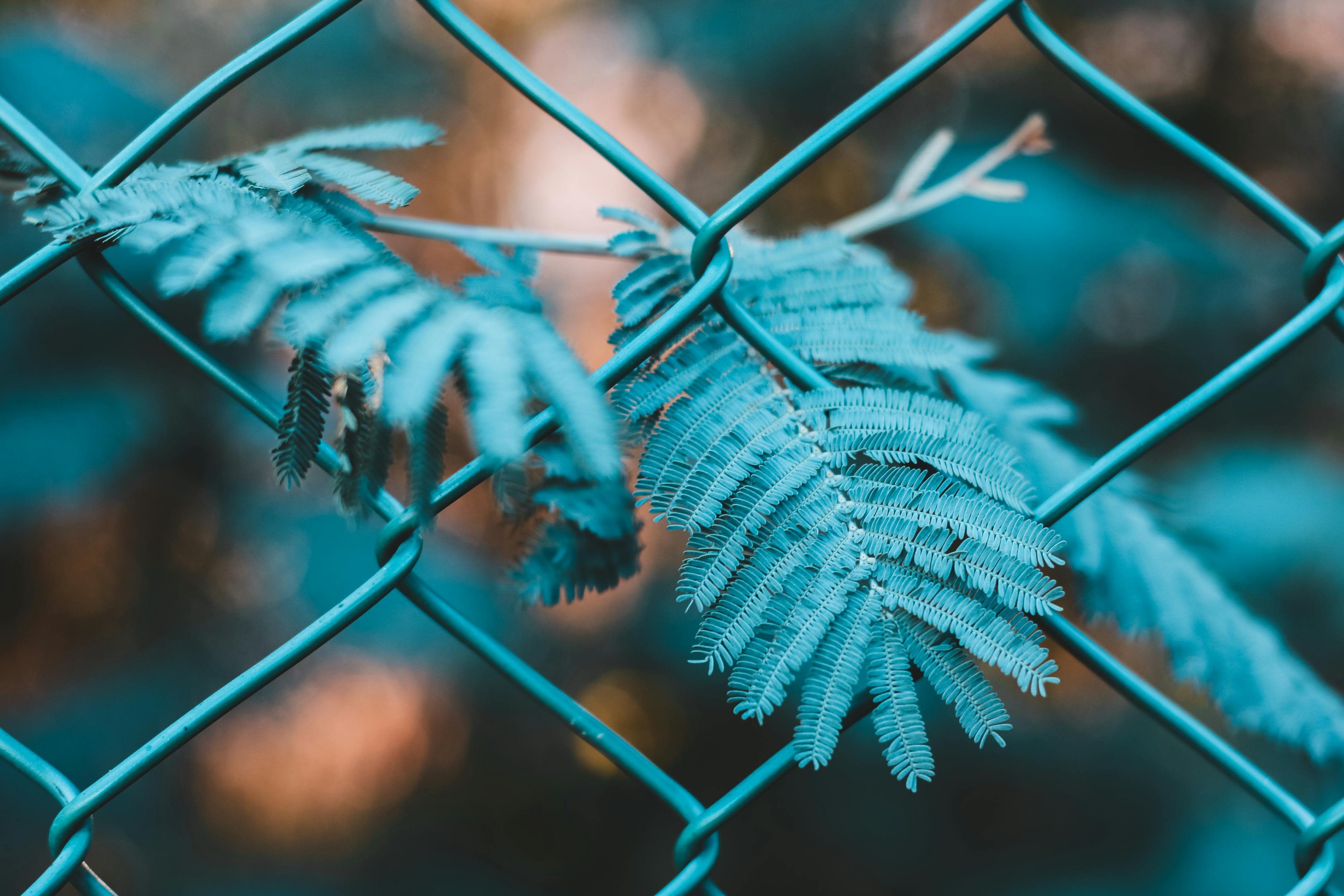 如何進行有效的網(wǎng)站SEO優(yōu)化？