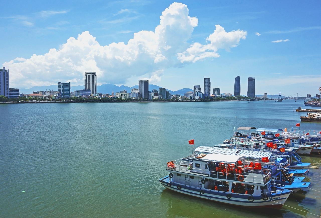 越南網(wǎng)站排名，揭秘東南亞互聯(lián)網(wǎng)市場(chǎng)的風(fēng)云變幻，東南亞互聯(lián)網(wǎng)市場(chǎng)風(fēng)云榜，越南網(wǎng)站排名大揭秘