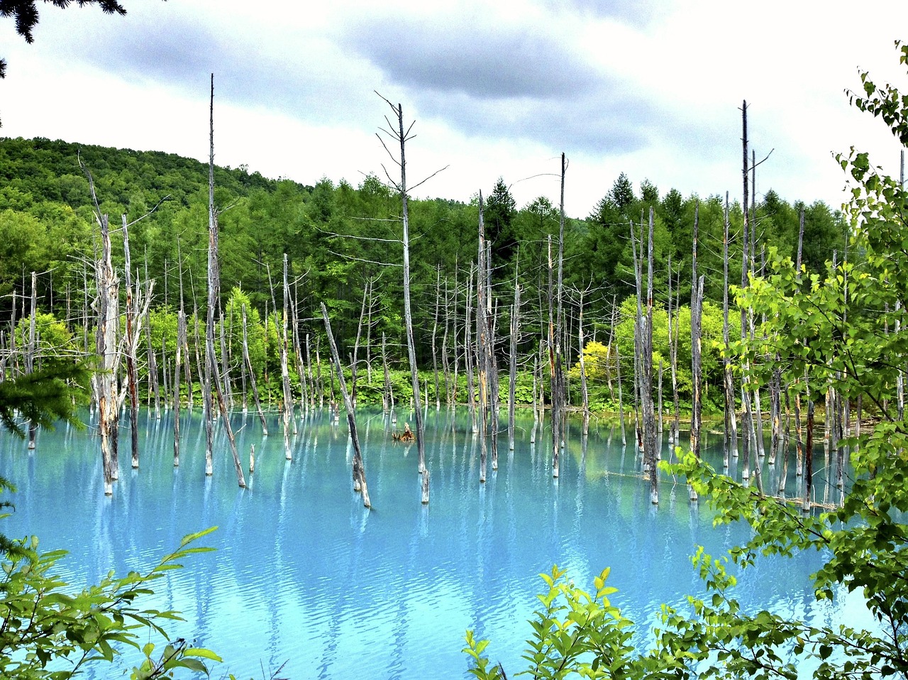 夢中邂逅，那片美麗的風(fēng)景