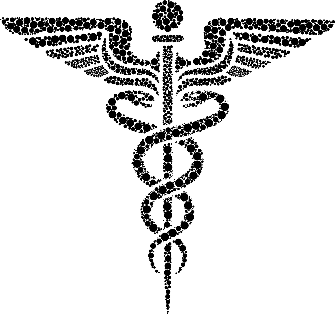 夢(mèng)中蛇影，靜謐之下的深邃啟示