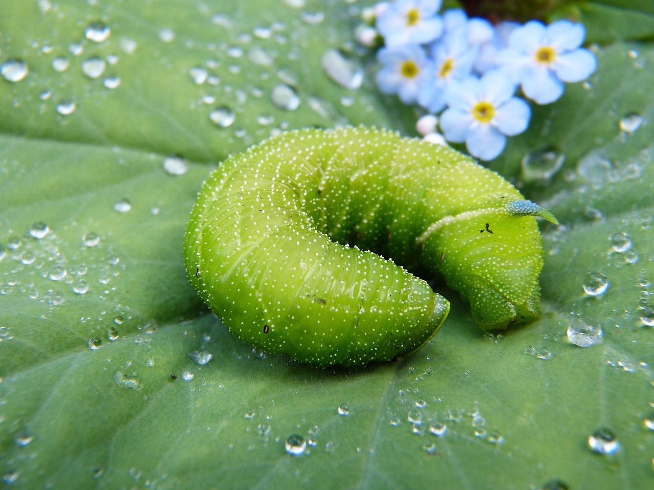 綠色環(huán)保，從注冊(cè)綠色開始—綠色平臺(tái)注冊(cè)指南