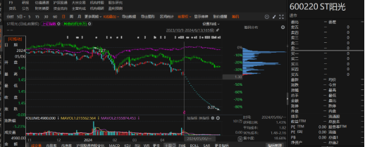 江蘇陽光有非經(jīng)營性資金占用和業(yè)績預(yù)告變臉！