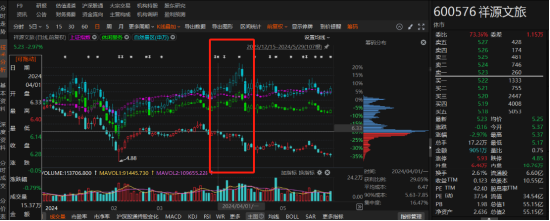 祥源文旅非經營性資金占用雖已歸還，但仍被出具警示函！