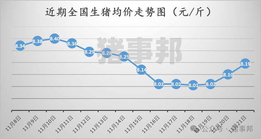11月21日豬價匯總（繼續(xù)普漲，但情緒分化?。?></p>
<p><p style=