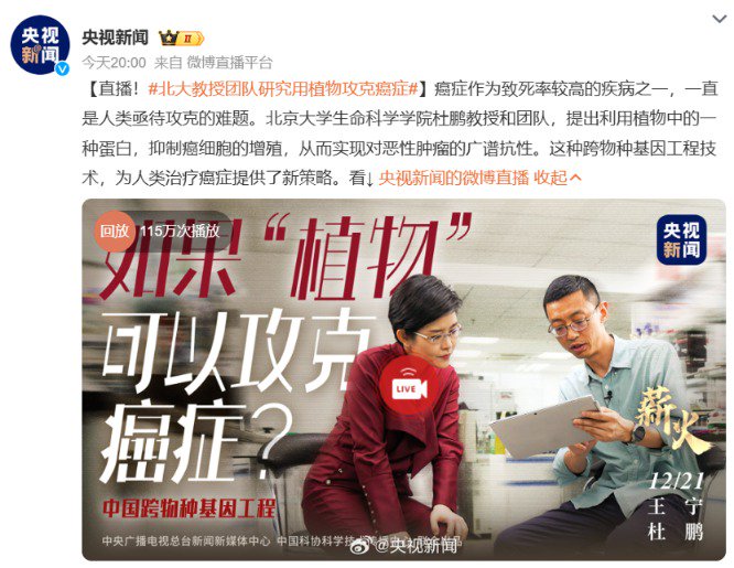 重大突破 央視重點報道！北大教授團(tuán)隊研究用植物攻克癌癥