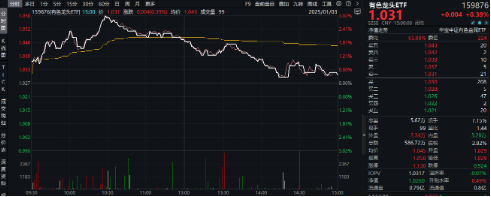 有色蓄勢(shì)高飛！有色龍頭ETF（159876）盤中逆市漲超3%！銅、金、鋁攜手上攻，北方銅業(yè)漲停封板