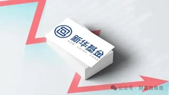 新華基金賴慶鑫在管7只基金6只虧損，高位持有國聯(lián)股份被質(zhì)疑