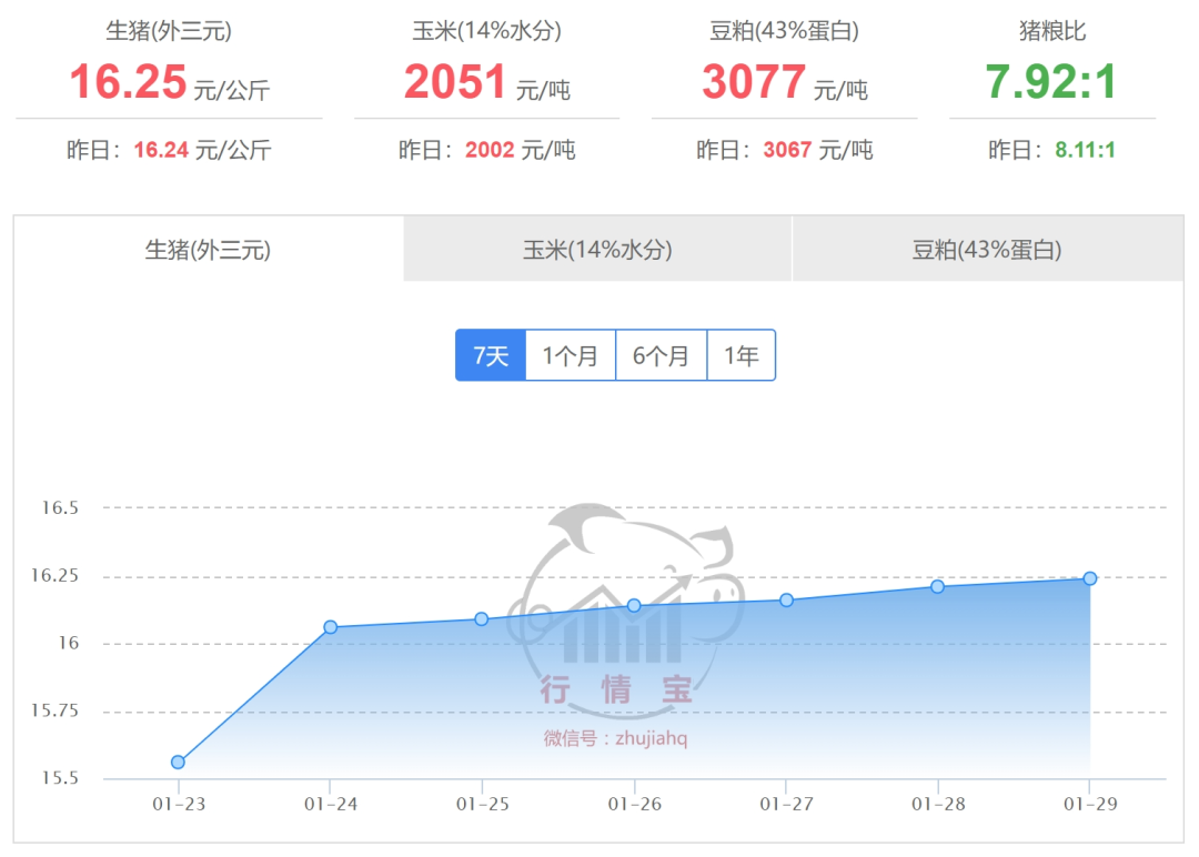 2025年1月30日國(guó)內(nèi)生豬價(jià)格一覽