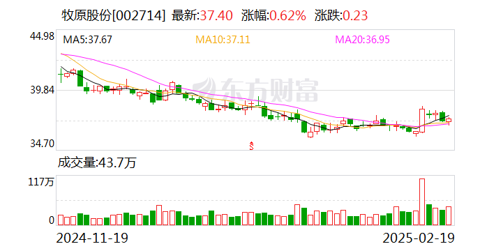 遭相關部門調查？牧原股份：未收到農業(yè)農村部等部門發(fā)出的調查通知