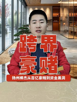 跨界豪賭！ 揚州棒杰從百億豪賭到資金黑洞！#光伏 #棒杰股份 #跨界 @光伏儲能小楊哥 @老楊說儲能