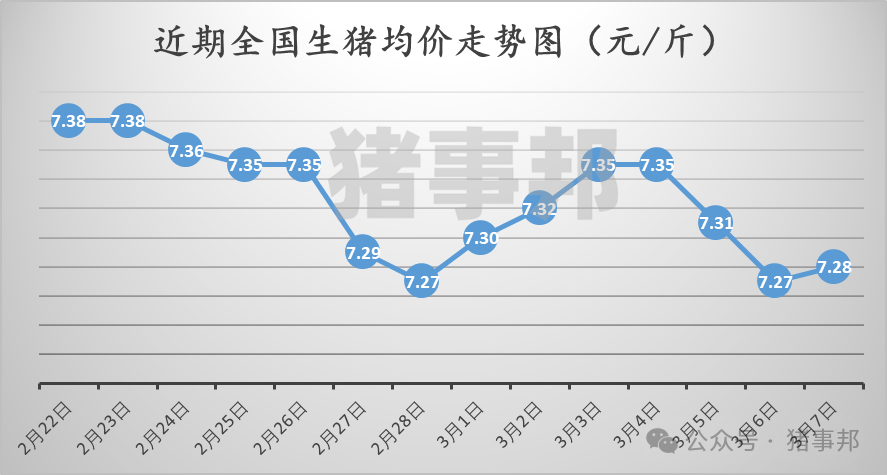 3月7日豬價匯總（北方稍強，南方稍弱！）