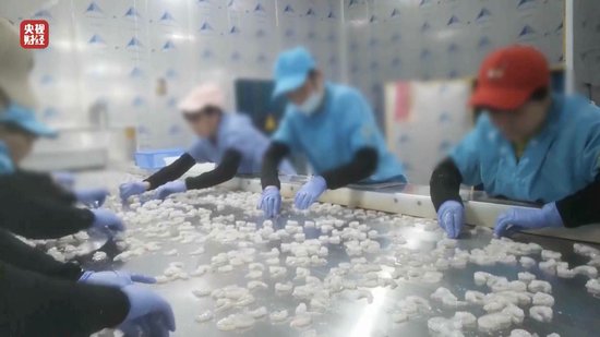 3·15晚會(huì)丨“保水蝦仁”，浮出水面！1斤蝦仁7兩冰……