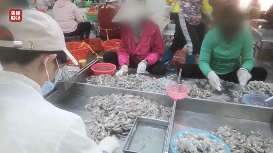 3·15晚會(huì)丨“保水蝦仁”，浮出水面！1斤蝦仁7兩冰……