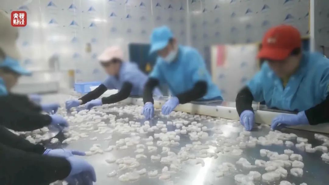 查封！關(guān)停！各地多部門連夜查處3·15曝光問題