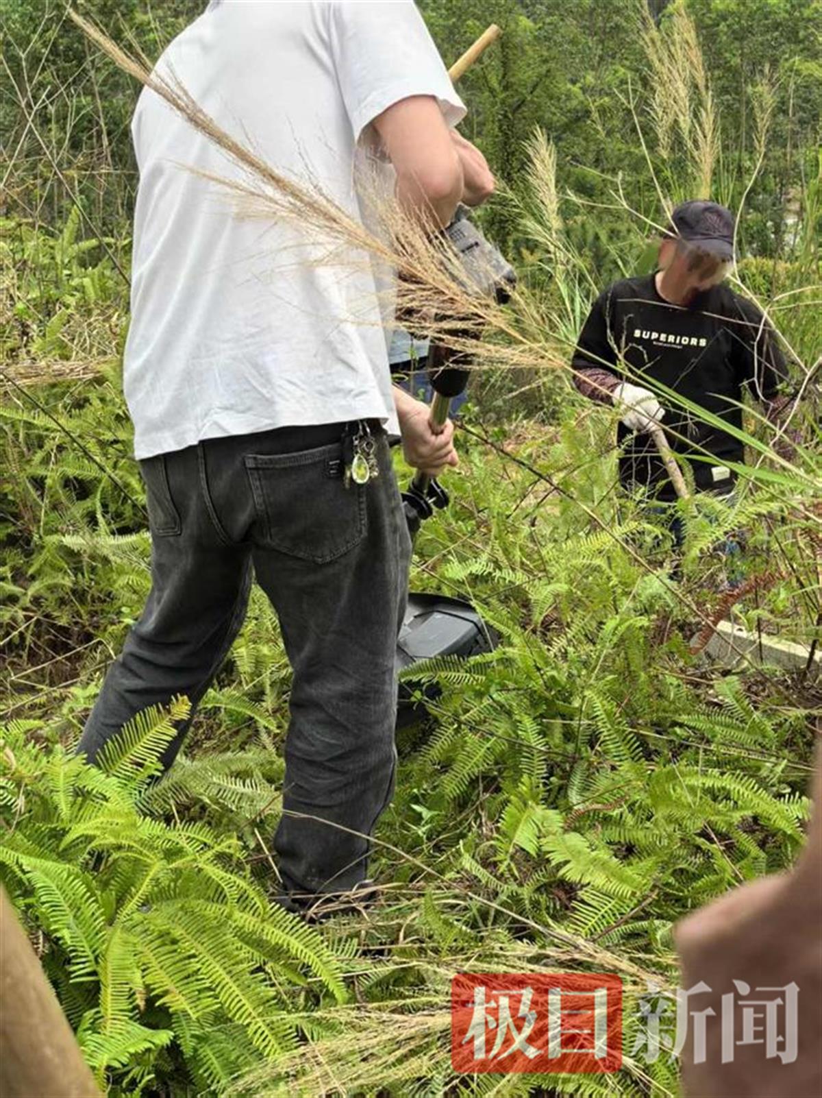 “華南F3”清明祭祖用上高科技：無人機(jī)吊運(yùn)祭品上山