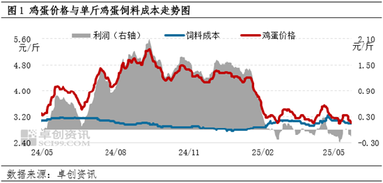 “蛋”說無妨：供強需弱　蛋雞養(yǎng)殖陷入虧損